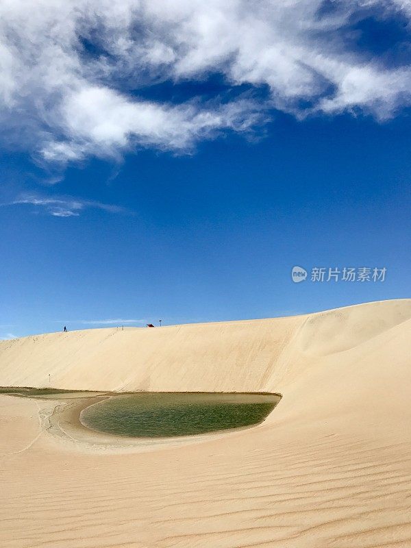 绿松石绿色，翠绿的雨水湖泻湖在一个金黄的沙丘在Jericoacoara，巴西