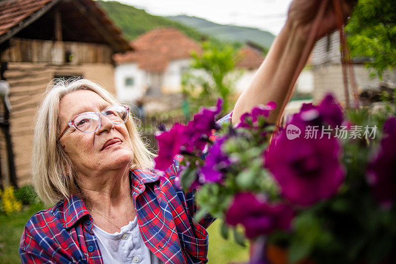 一个成熟的女人在她的院子里种花。