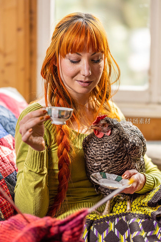 在一个咖啡休息时间，一个年轻漂亮的女人住在一个农场，抱着一只鸡作为宠物