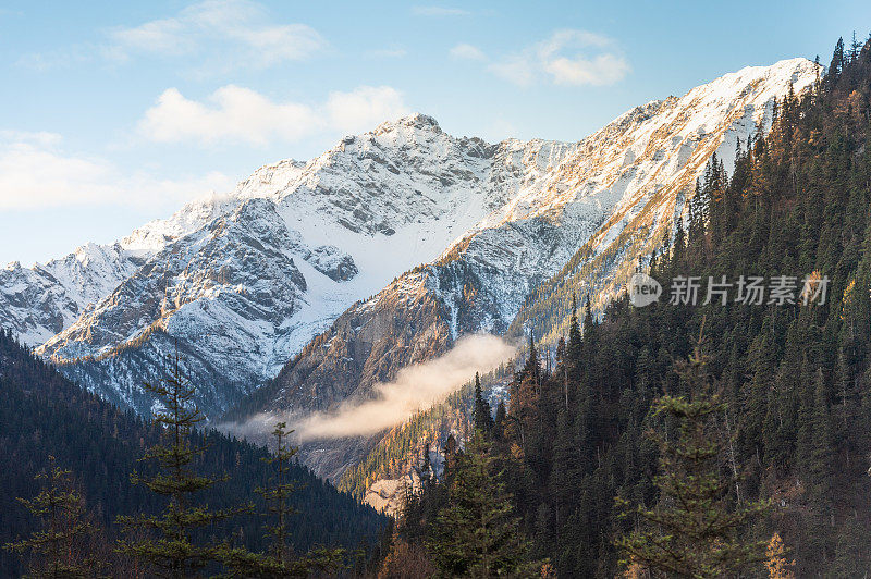 白色穆迪雪山和前景自然树木森林轻松和平的自然色调，有用的背景