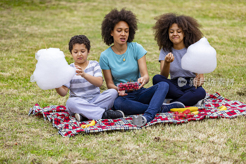 快乐的非裔美国家庭在公园野餐，吃棉花糖和甜樱桃。