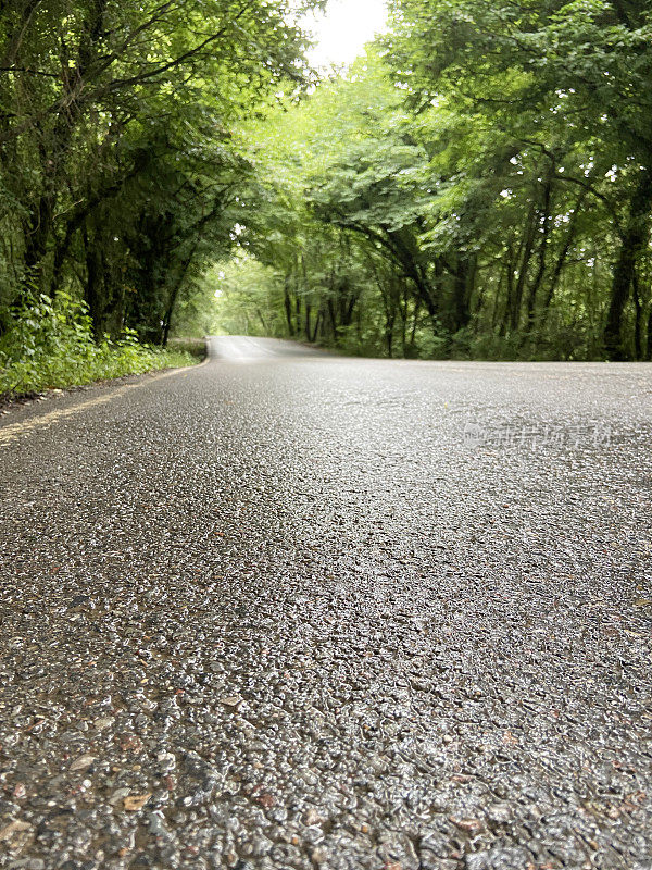 低角度视野乡村沥青道路与森林背景