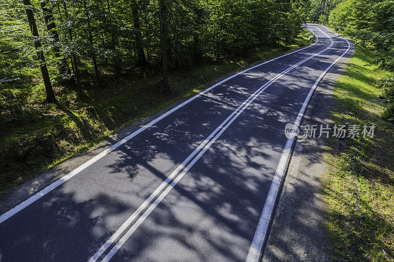 鸟瞰绿色森林中的山路