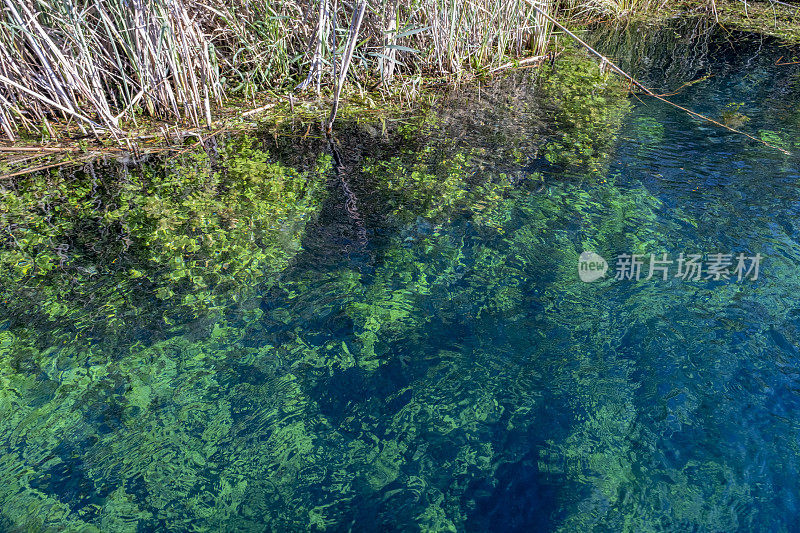 高角度的观点，水晶清澈的水和海藻