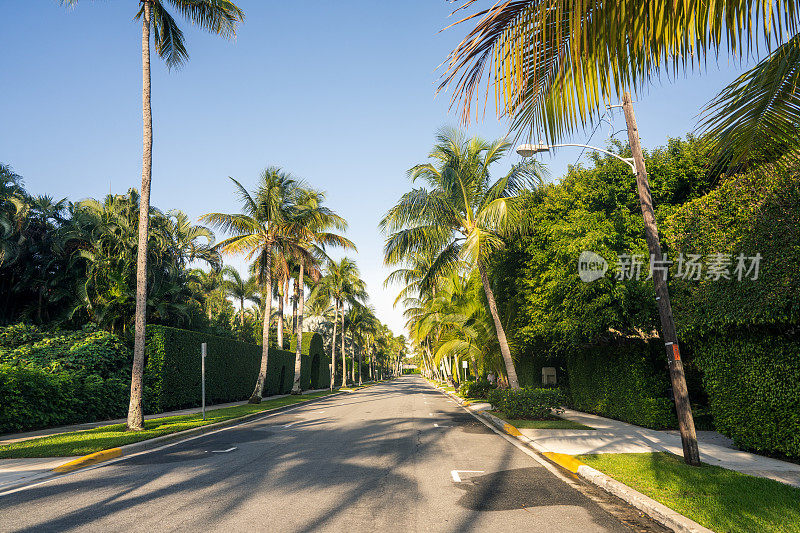 棕榈树林立的住宅区和街道与黄金海滩，迈阿密，佛罗里达
