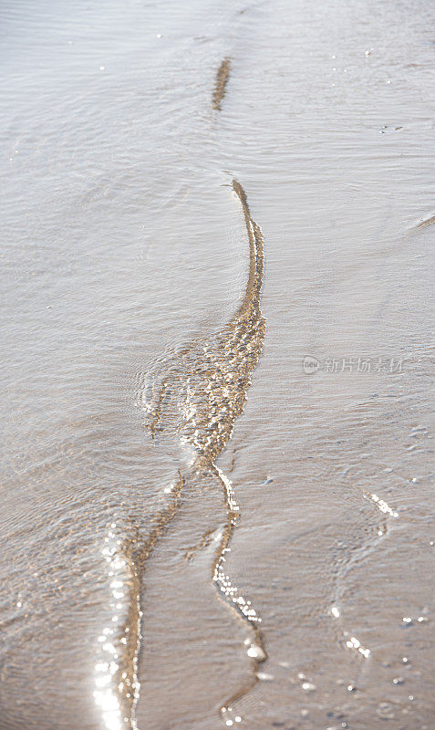 海滩上泛起涟漪