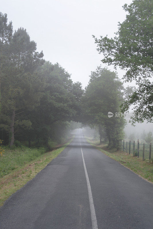 穿越迷雾的道路