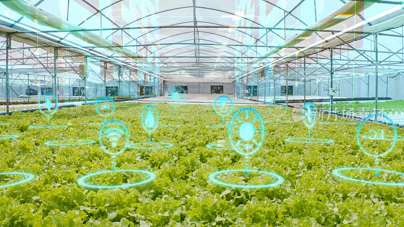 具有增强现实和虚拟现实界面的水培农场，未来农业技术