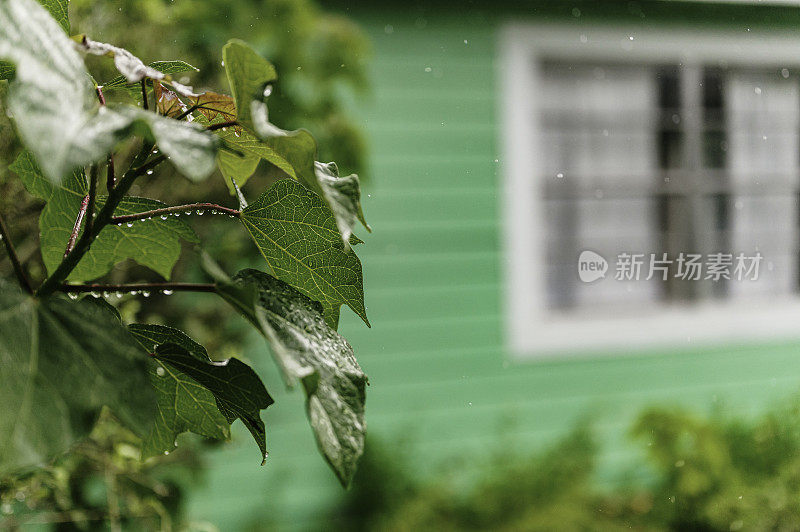 独栋住宅在暴雨期间，有水槽和恶劣的天气