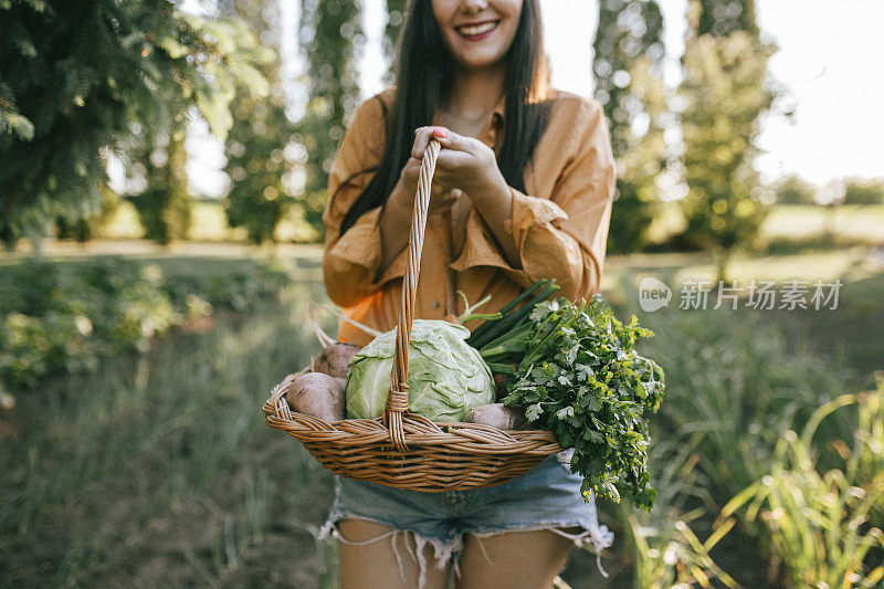 农民妇女在花园里拿着新鲜的本地有机蔬菜的特写