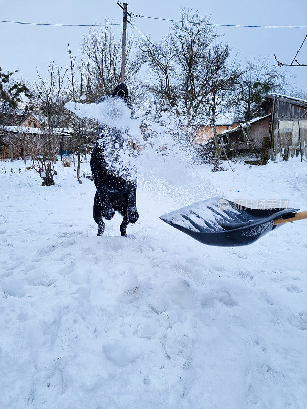 让我们在雪地里玩吧