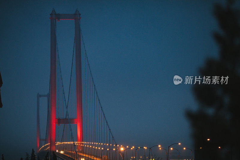 土耳其科卡利的Osmangazi桥夜景。