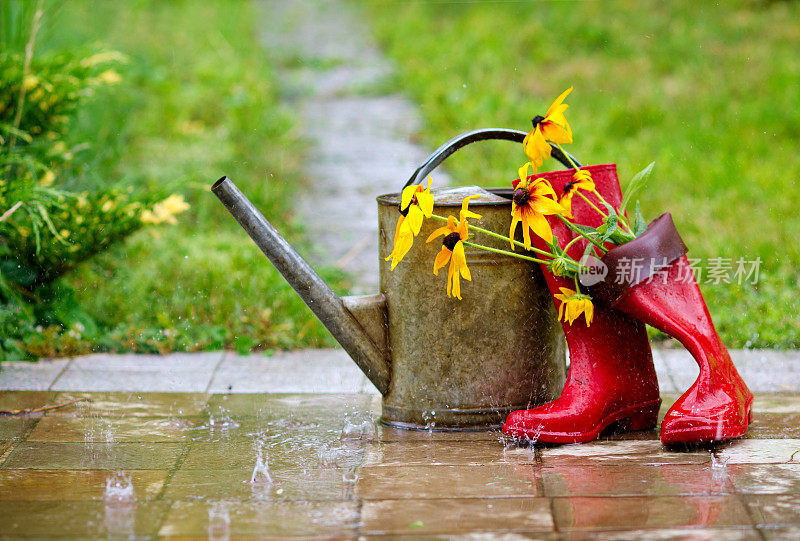 园艺工具在雨中