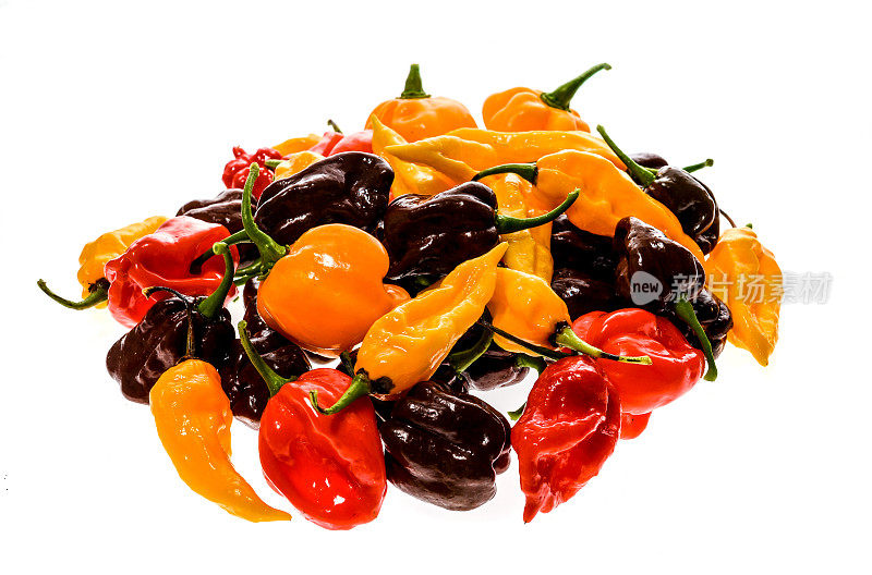 不同品种的辣椒或红辣椒，孤立上白。