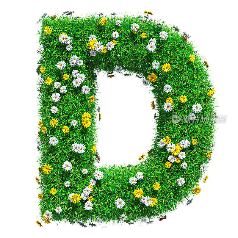 绿色的草和花的字母D