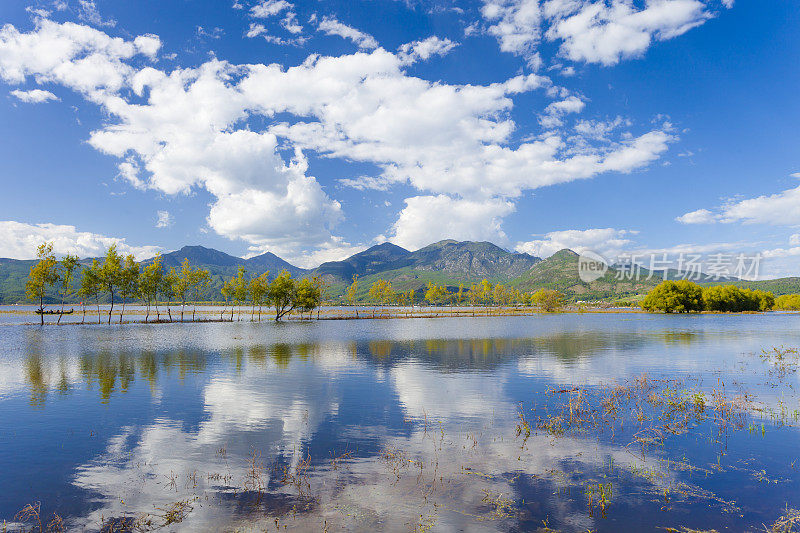 秋天的湿地