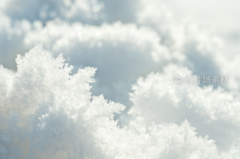 雪晶宏