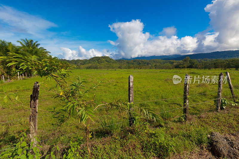 哥斯达黎加的风景