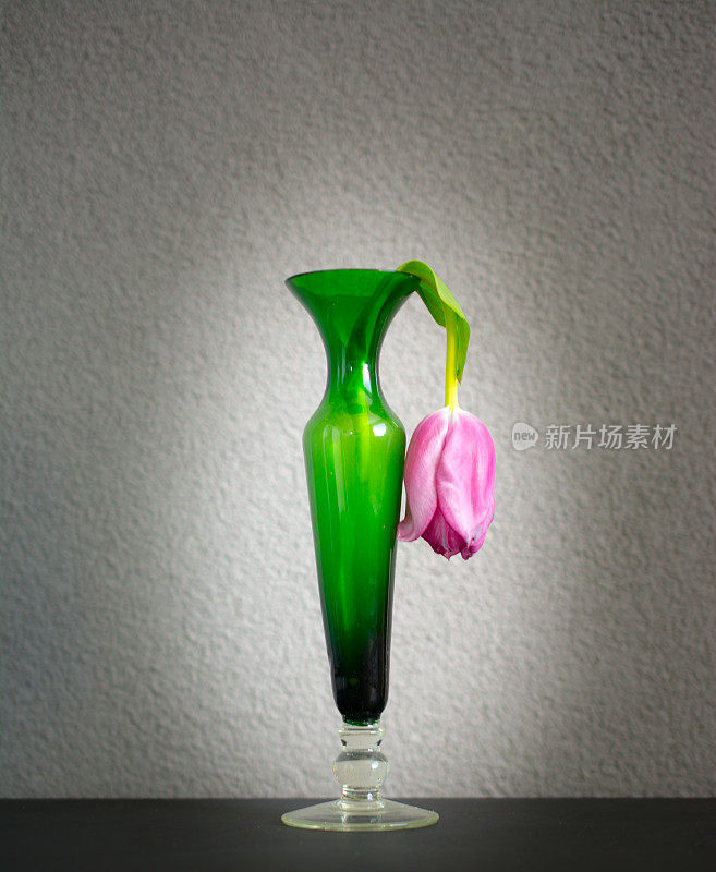 弯下绿色花瓶里的郁金香