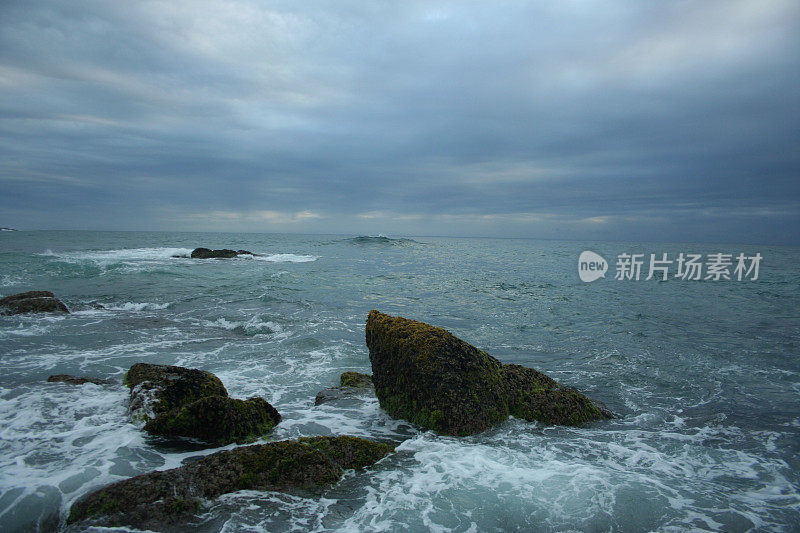 南非野生海岸