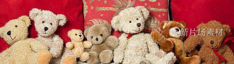 泰迪熊束-家庭团聚