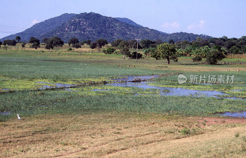 在非洲马拉维的萨利玛湖附近，湿地和带有露头山丘的田地