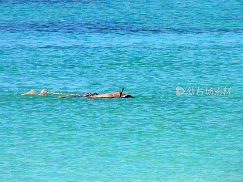 男子浮潜在蓝色的水在古巴海滩