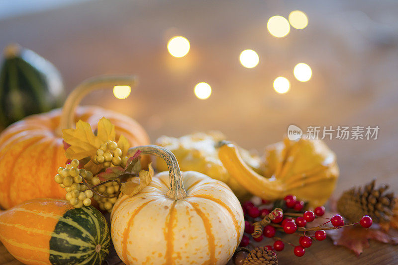 感恩节餐桌上的装饰品有南瓜、南瓜、葡萄和冬青浆果