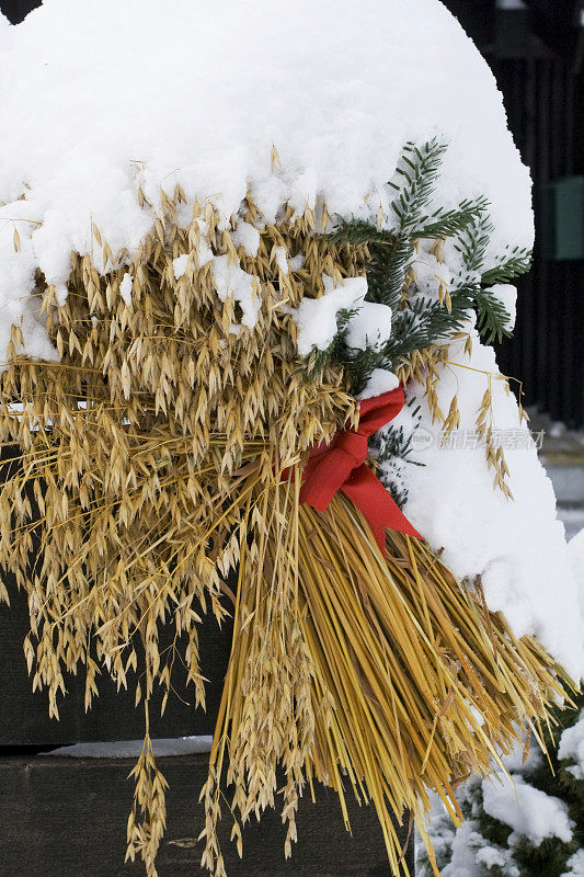 圣诞一串串的谷粒为鸟儿在雪景中祈福。