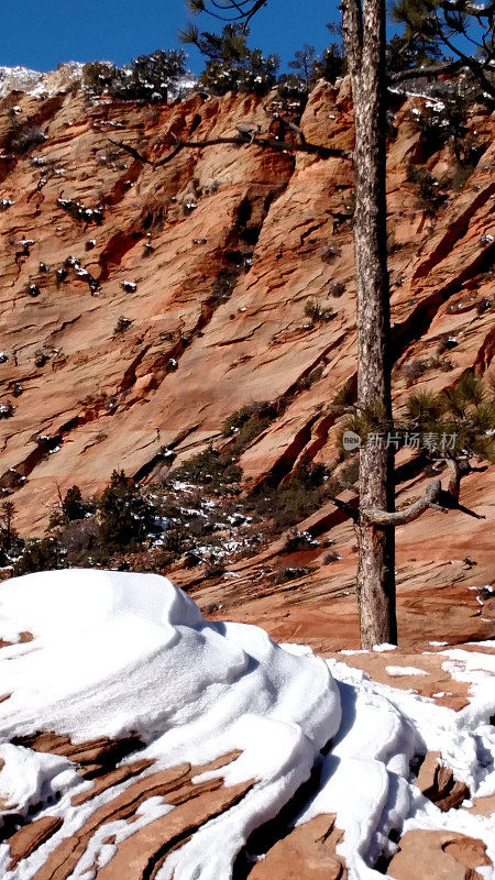 纳瓦霍砂岩和犹他州锡安峡谷冬季积雪的曲折裂缝
