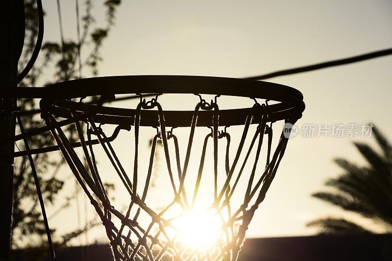 篮球网轮廓
