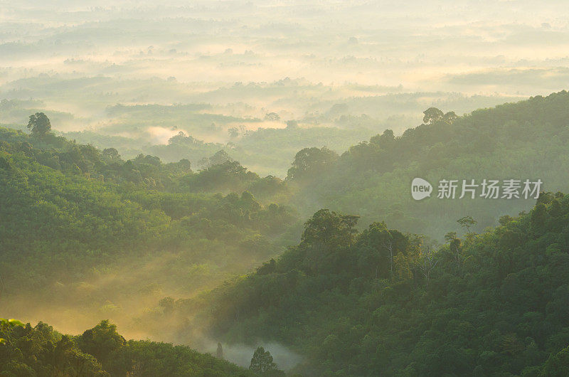 美丽的日出在薄雾清晨的山。