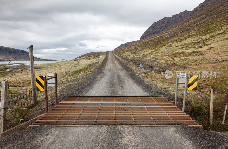 冰岛，牛的网格和道路