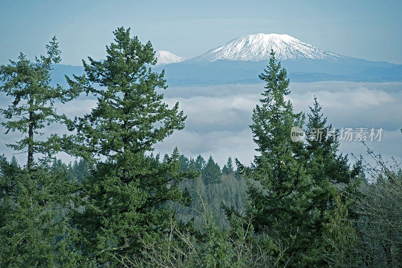 圣海伦斯山和华盛顿州的亚当斯山