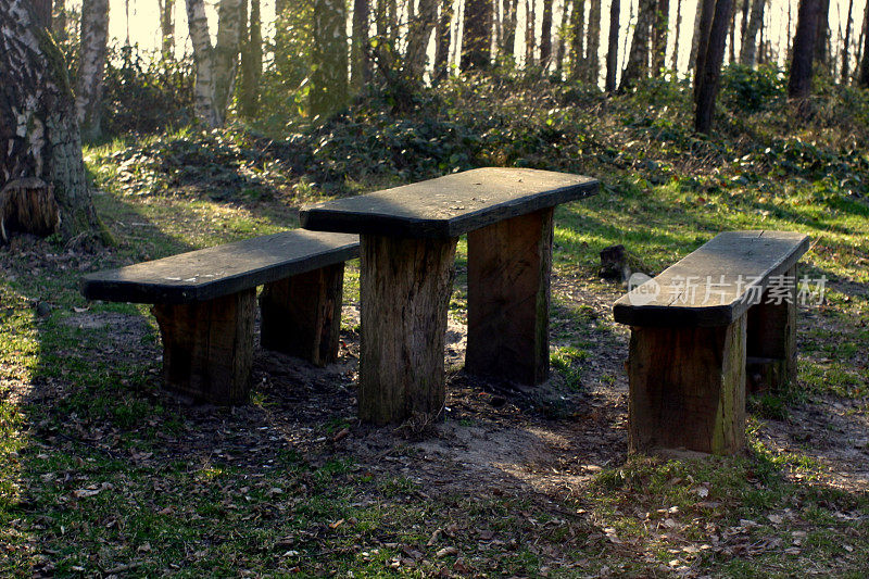 森林里的公园长椅和桌子