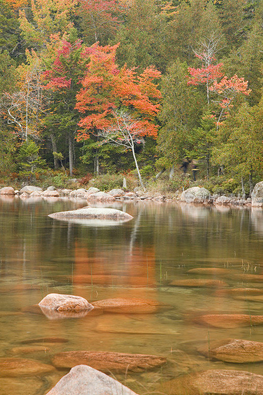 秋天的颜色在约旦池塘，阿卡迪亚国家公园，美国缅因州