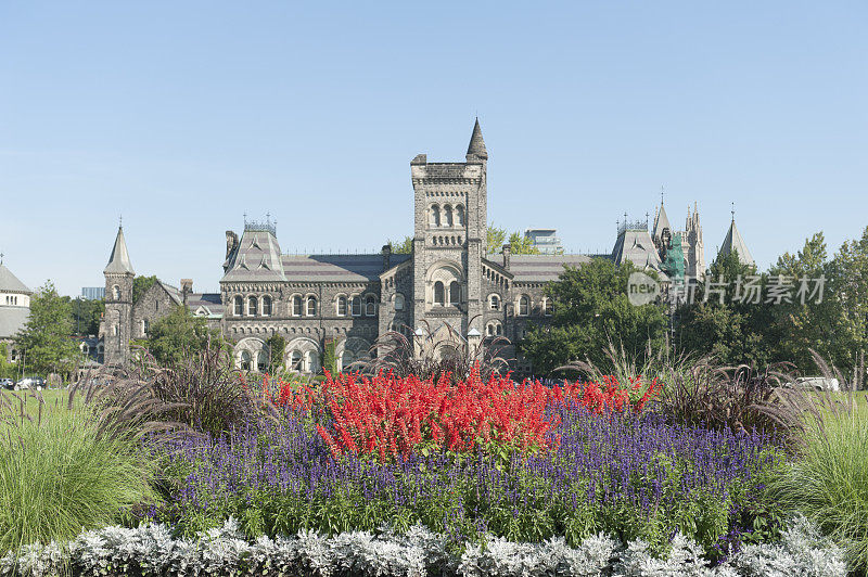 多伦多大学