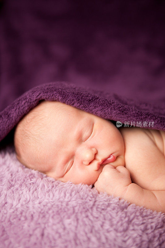 刚出生的女婴在紫色毯子下安静地睡觉