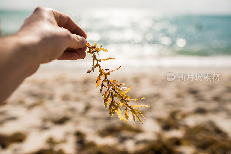 探索海滩