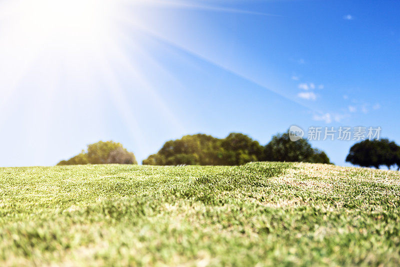 阳光明亮地照在绿色的田野上