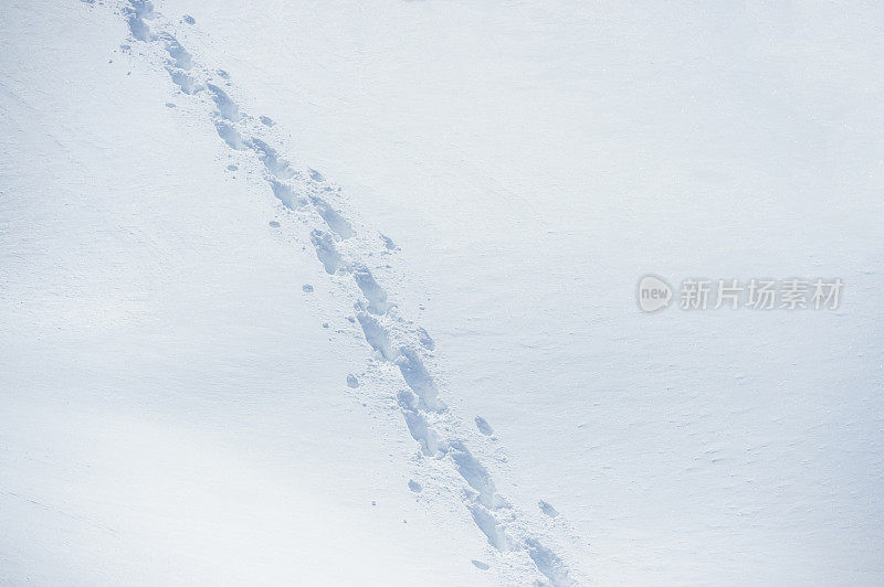 雪地里的脚印