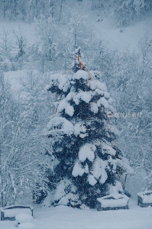 白雪覆盖的冬季景观和照亮的圣诞树