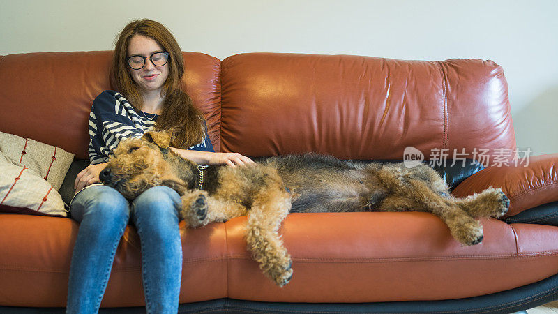 漂亮的白人少女浏览社交媒体，和睡在沙发旁边的小猎犬