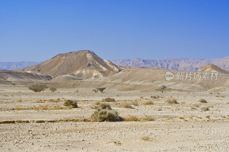 沙漠的孤独和空虚