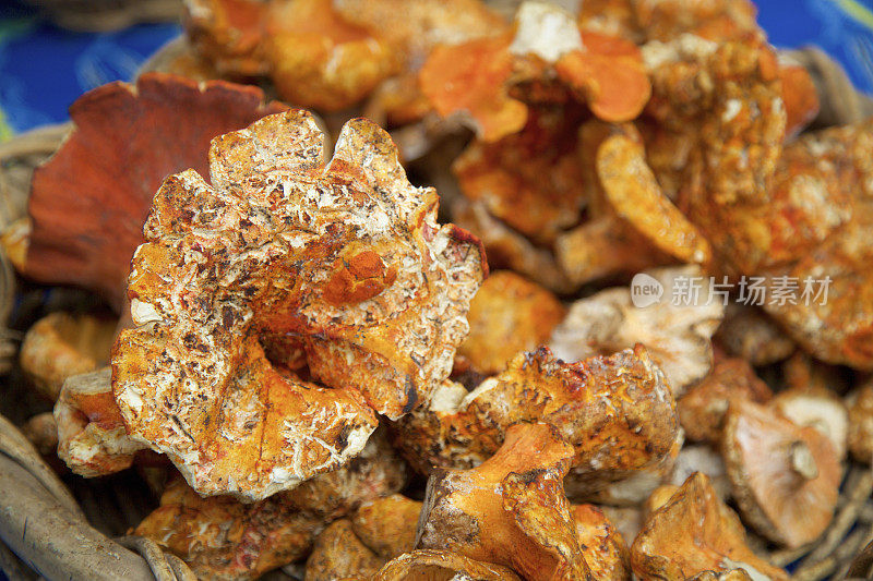 农贸市场的龙虾蘑菇