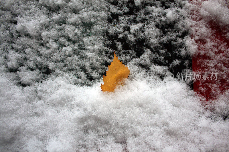 贝尔格莱德冬天的雪景