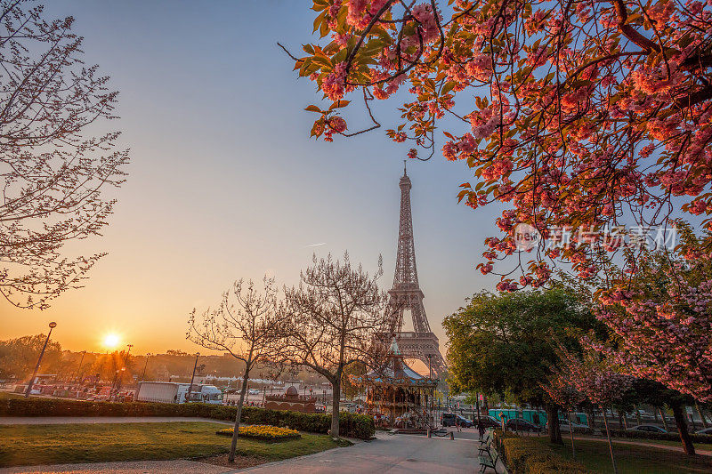 法国巴黎的埃菲尔铁塔和春树
