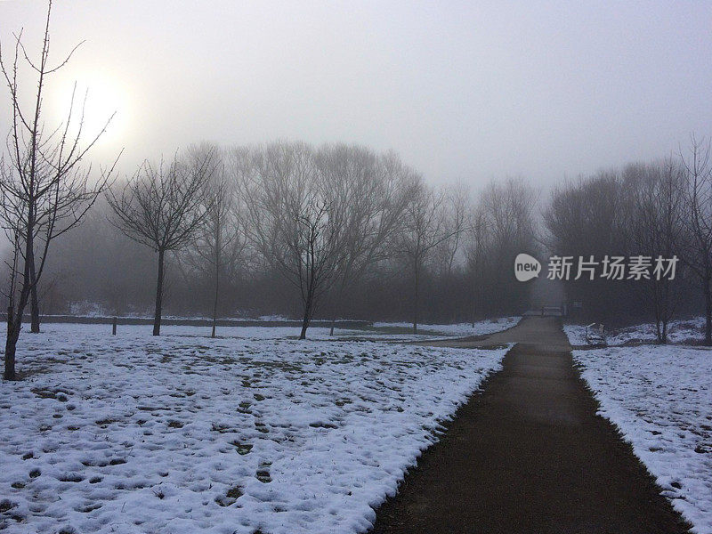 萨尔布鲁公园的雪。威托利亚-加斯泰兹。西班牙