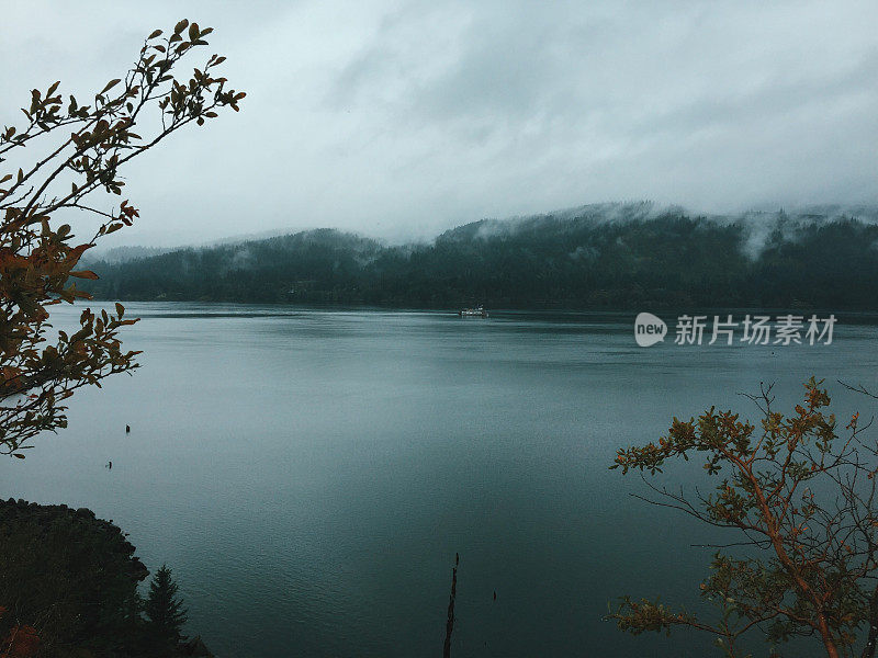 多雾的哥伦比亚河，峡谷，太平洋西北