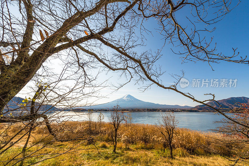 早晨的富士山和川口湖，秋季的富士山在山町。